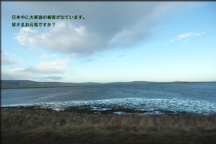 日本中に大寒波の被害が出ています。
皆さまお元気ですか？